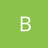 BirdGraphics