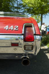 P1022910.webp
